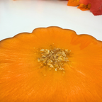 Cosy Autumn Blooms – Handmade Resin Coasters with Gold Edge